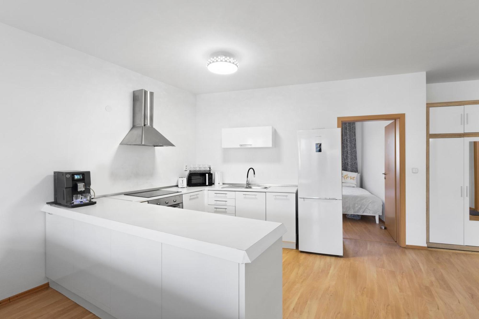 Apartment Puma V Centre Piestan П'єштяни Екстер'єр фото